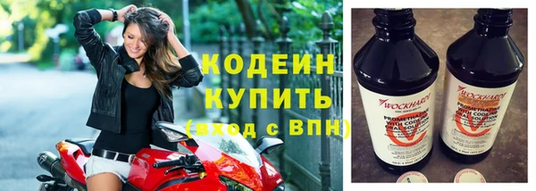 крисы Армянск