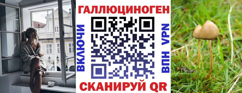 мега ONION  хочу наркоту  Новодвинск  Галлюциногенные грибы MAGIC MUSHROOMS 
