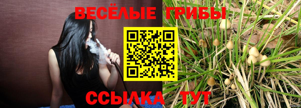 Псилоцибиновые грибы мицелий Новодвинск