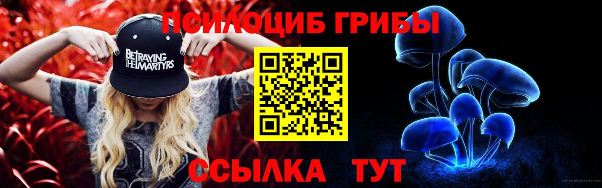 купить наркотик  Псилоцибиновые грибы мицелий  Вход с VPN  Новодвинск 